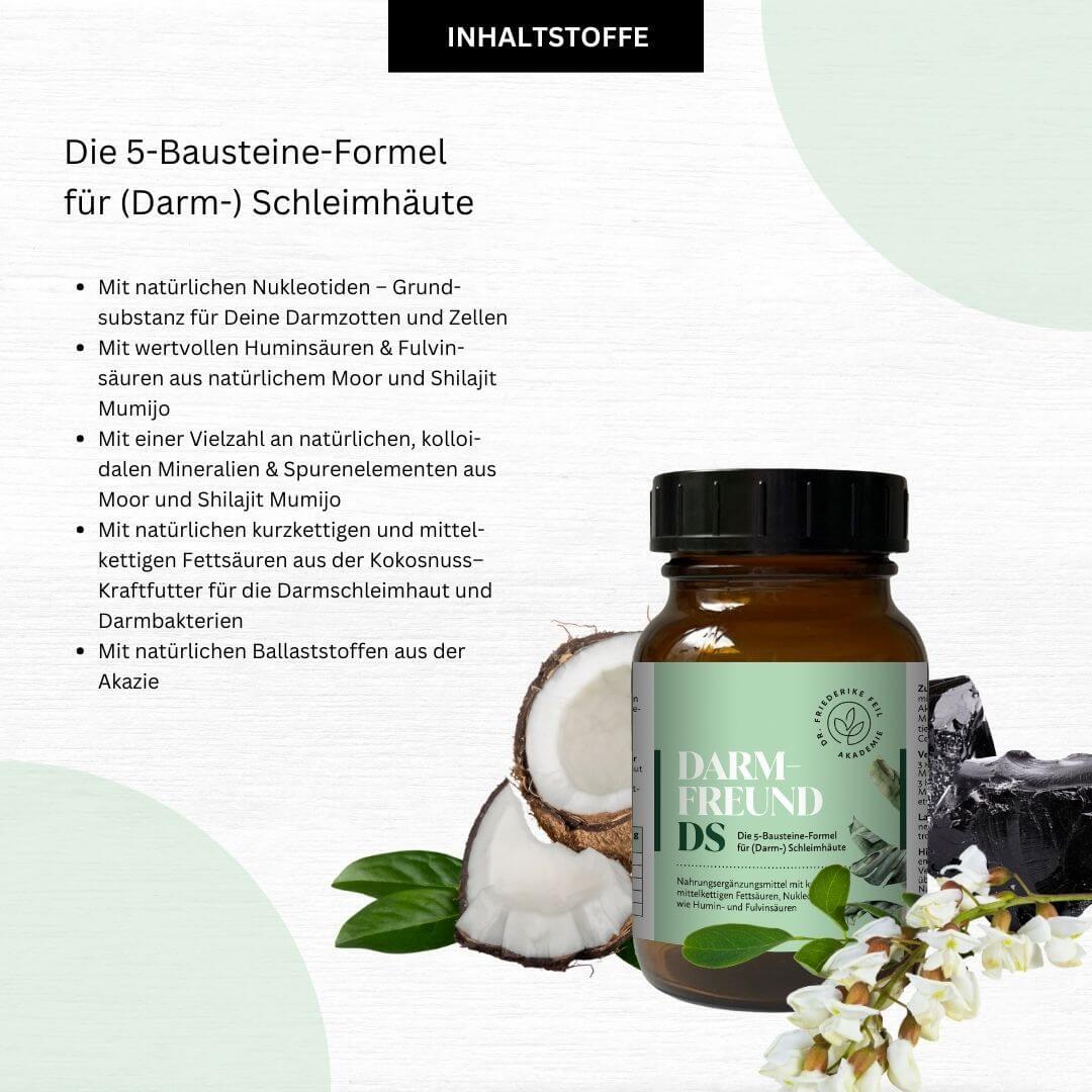 Glücksbakterien Darmfreund DS – Bild 2