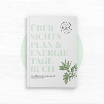 Übersichtsplan und Energietagebuch