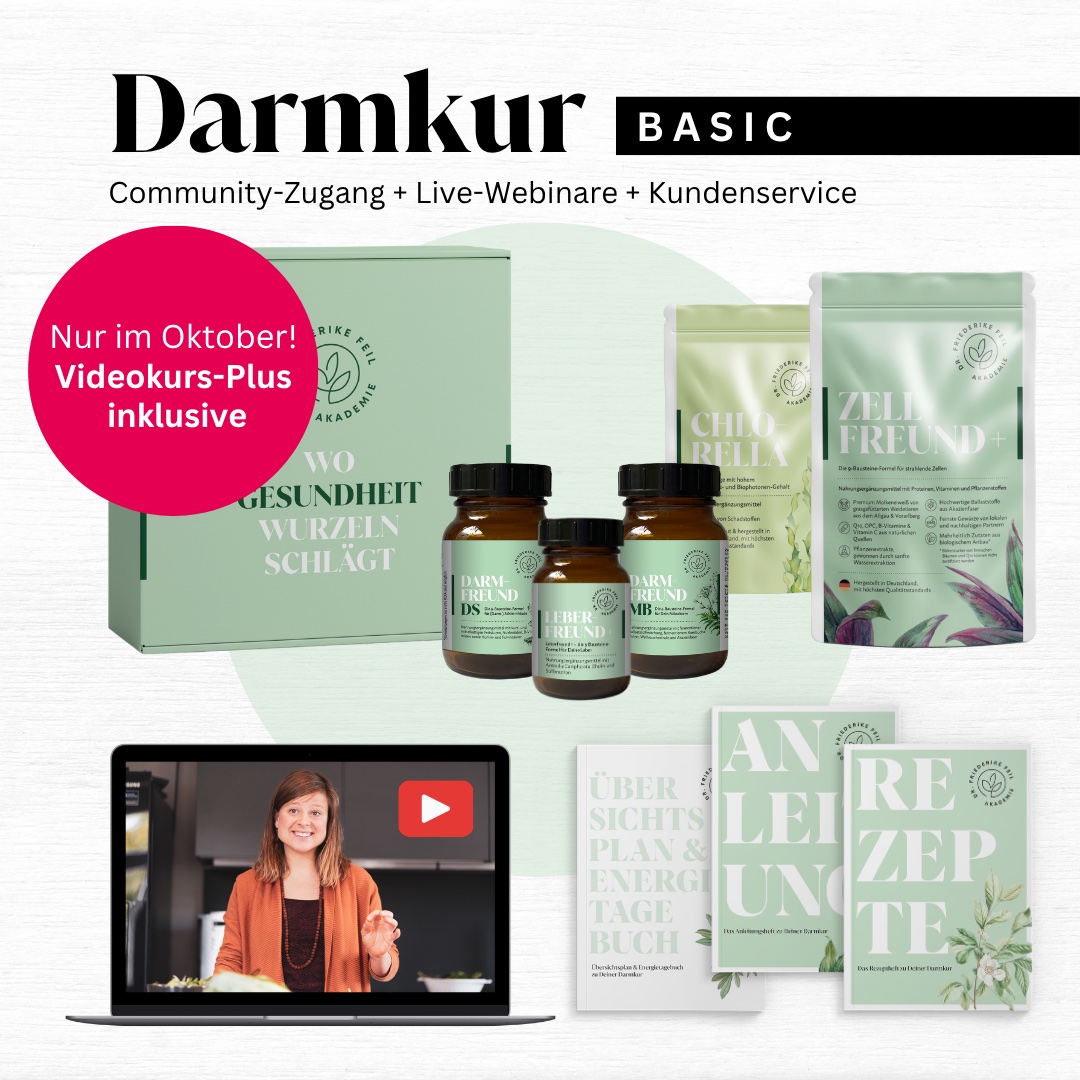 Darmkur BASIC: Community-Zugang, Live-Webinare und Kundenservice. Nur im Oktober: Videokurs-Plus inklusive.