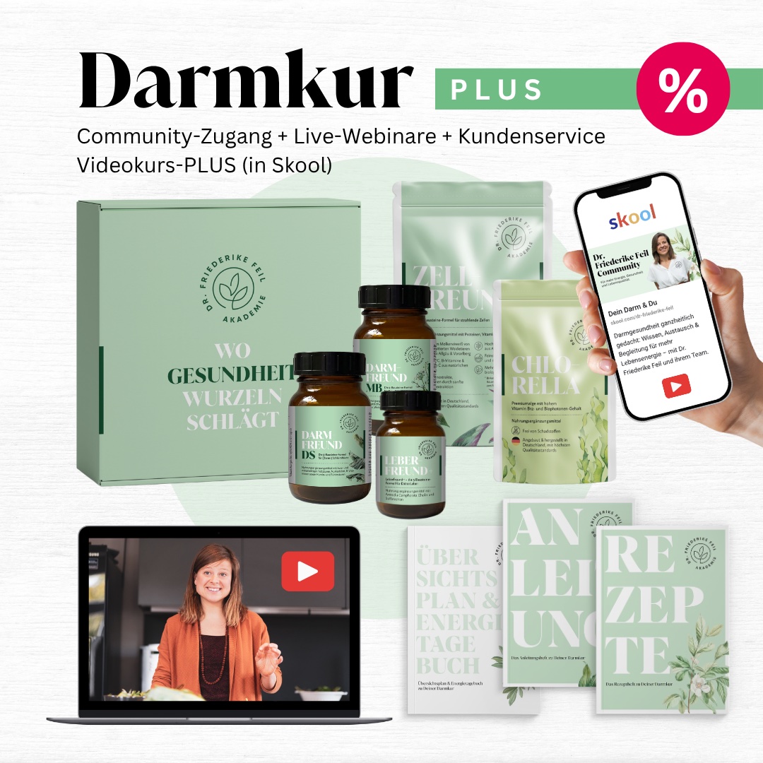 Darmkur PLUS: Community-Zugang, Live-Webinare, Kundenservice und Videokurs-PLUS in Skool. Oktober-Angebot.