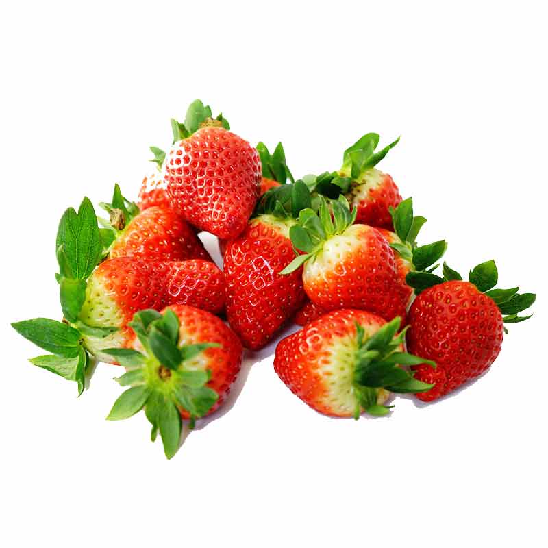 Erdbeerkaesekuchen Erdbeeren