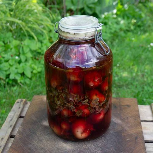 Probiotika selbst herstellen: Dein Rezept für fermentiertes Gemüse 8 Fermentiertes Gemuese 1