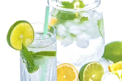 Darmgesundheit: 7 Tipps was Du für das Wohnzimmer Deines Immunsystems tun kannst 5 Wasser dein Lebenselexier 510x340 1
