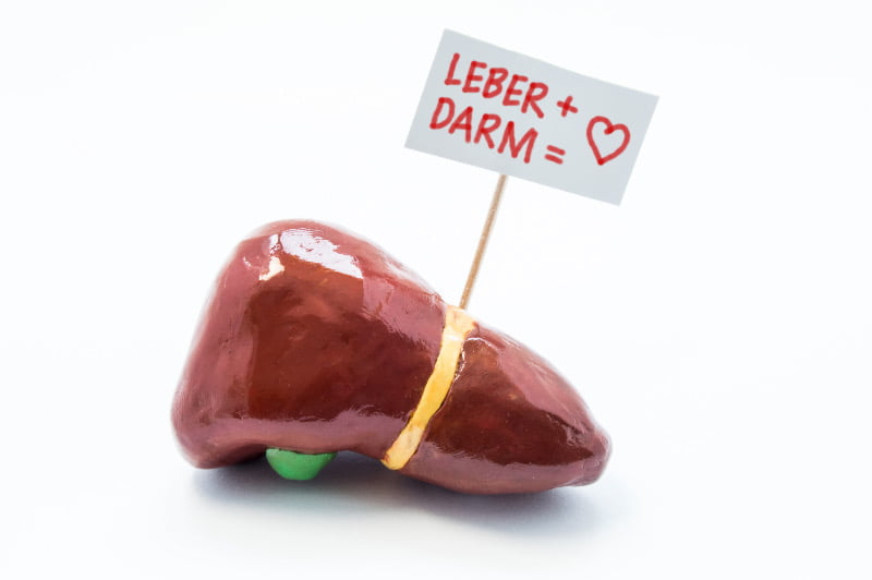 aufgeblähter_bauch_ursachen_leber.