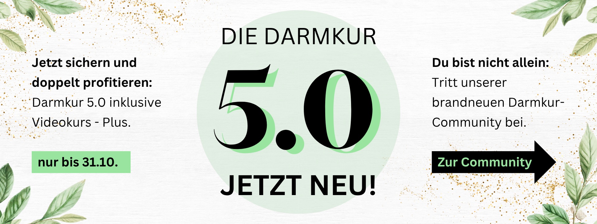 Die Darmkur 5.0 – jetzt neu! Jetzt sichern und doppelt profitieren: Darmkur 5.0 inklusive Videokurs Plus, nur bis 31.10.